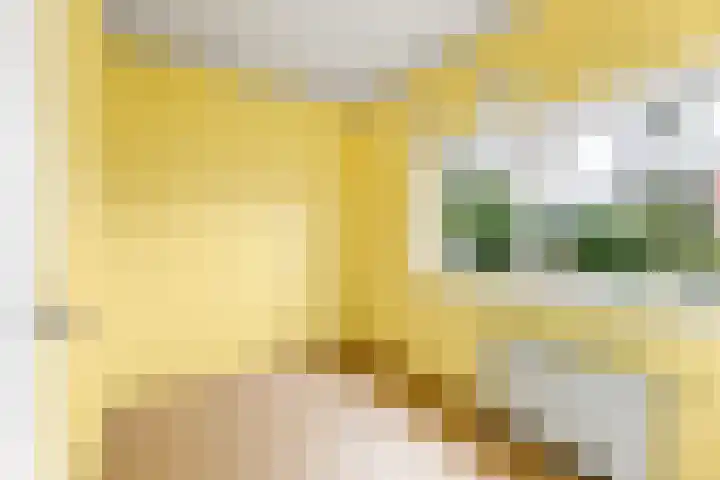 Hammarskjöldlaan 3 Middelburg thumbnail 26
