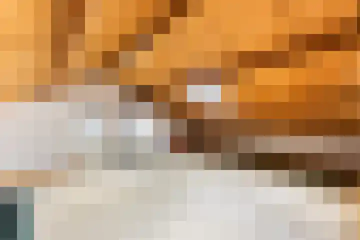 Hammarskjöldlaan 3 Middelburg thumbnail 32