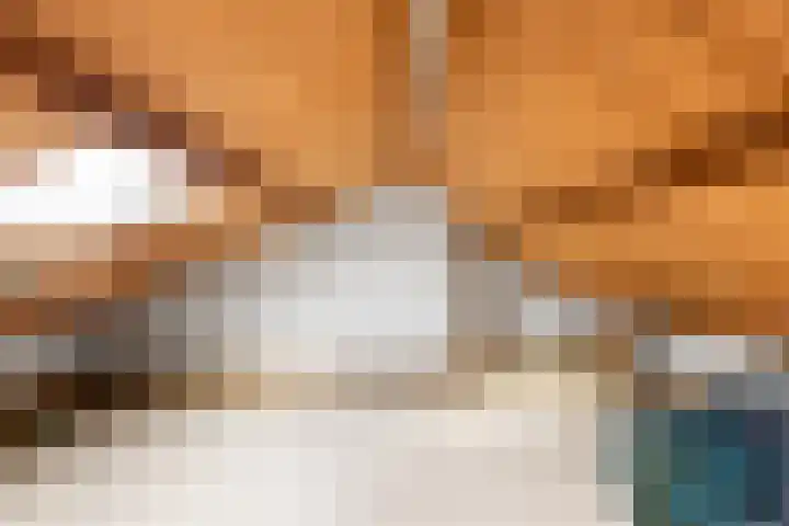 Hammarskjöldlaan 3 Middelburg thumbnail 33