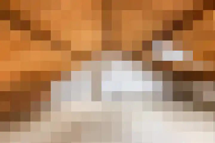 Hammarskjöldlaan 3 Middelburg thumbnail 34