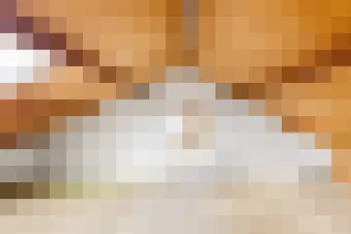 Hammarskjöldlaan 3 Middelburg thumbnail 35