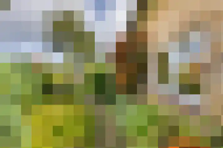 Hammarskjöldlaan 3 Middelburg thumbnail 5
