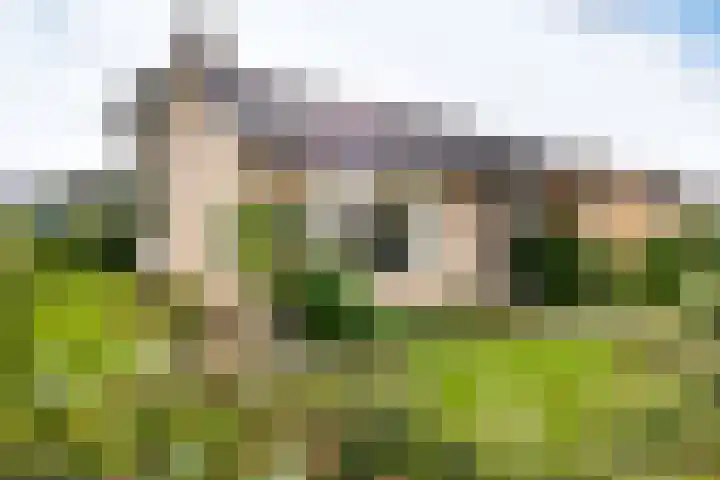 Hammarskjöldlaan 3 Middelburg thumbnail 6