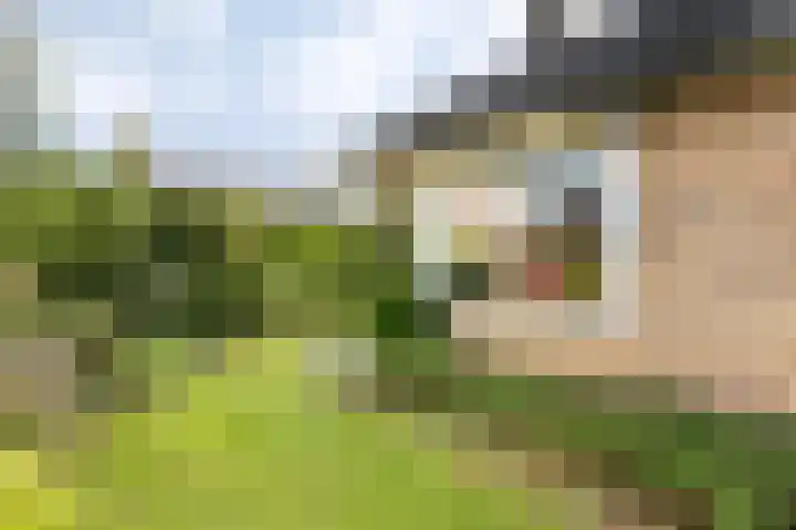 Hammarskjöldlaan 3 Middelburg thumbnail 7