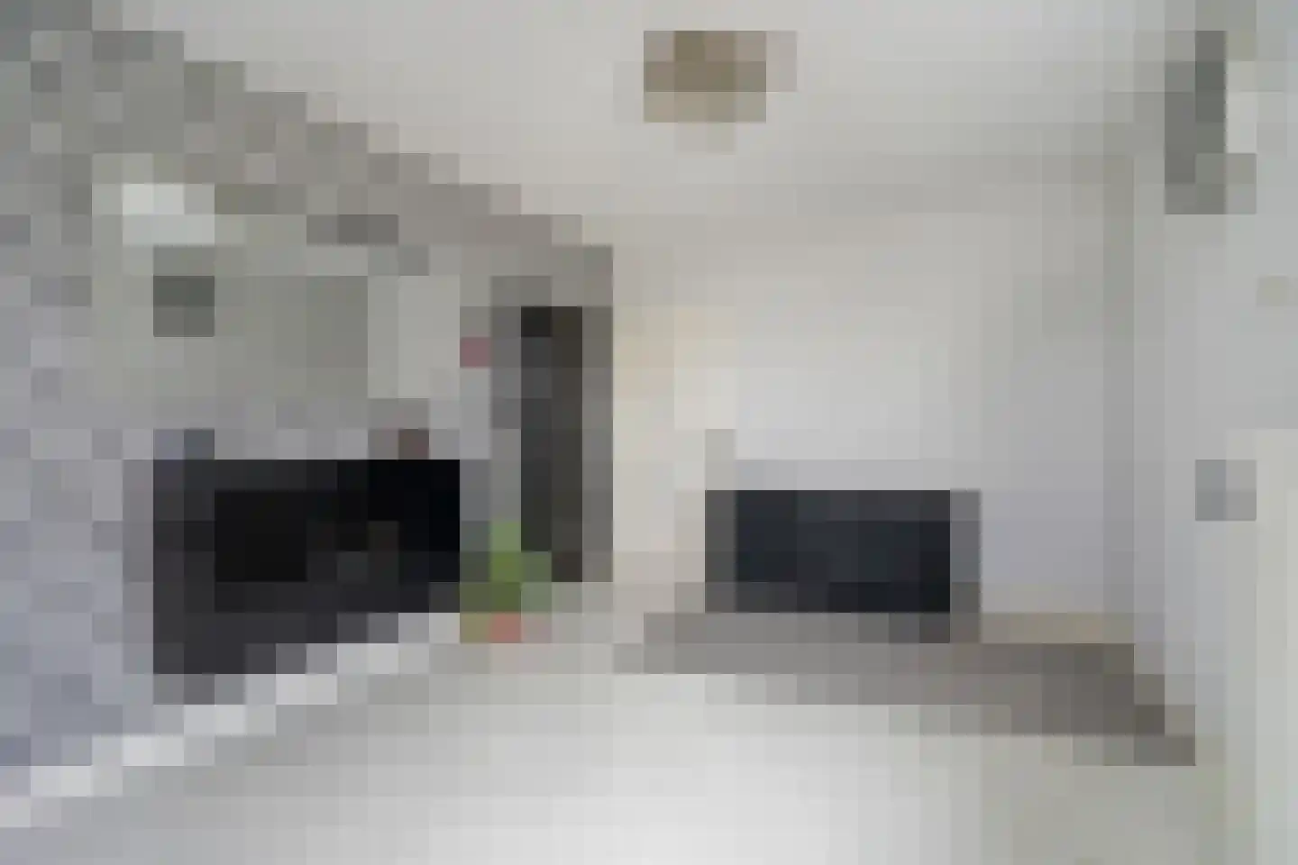 Hammarskjöldlaan 345 Rijswijk thumbnail 12