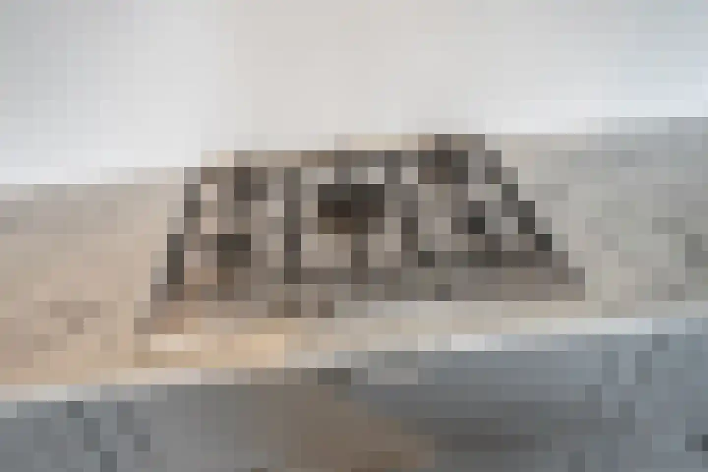 Hammarskjöldlaan 345 Rijswijk thumbnail 16