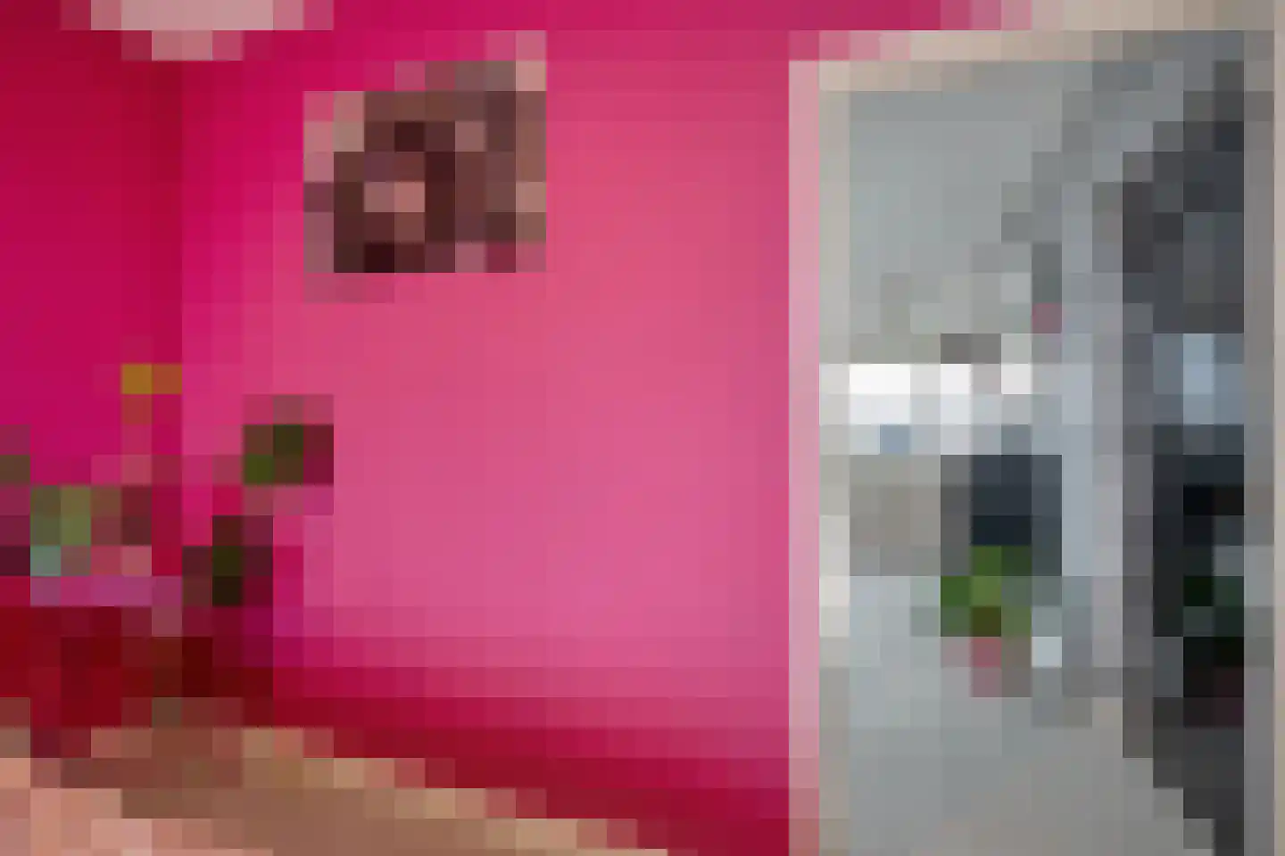 Hammarskjöldlaan 345 Rijswijk thumbnail 19