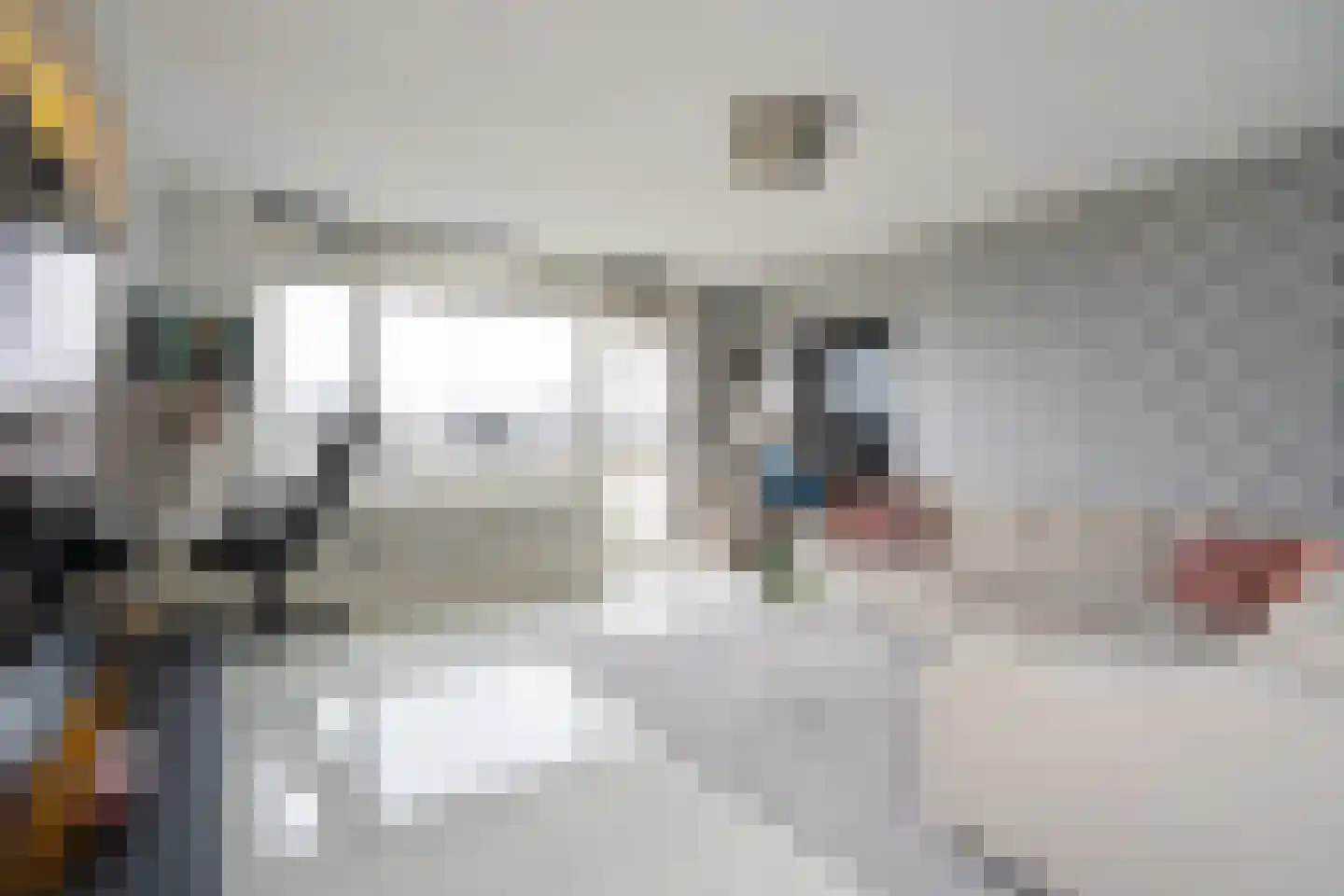 Hammarskjöldlaan 345 Rijswijk thumbnail 9