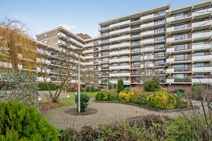 Hammarskjöldlaan 347 in Rijswijk