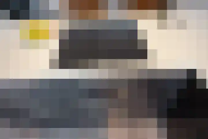 Hammarskjöldlaan 347 Rijswijk thumbnail 10