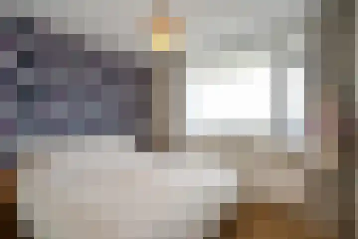 Hammarskjöldlaan 347 Rijswijk thumbnail 12