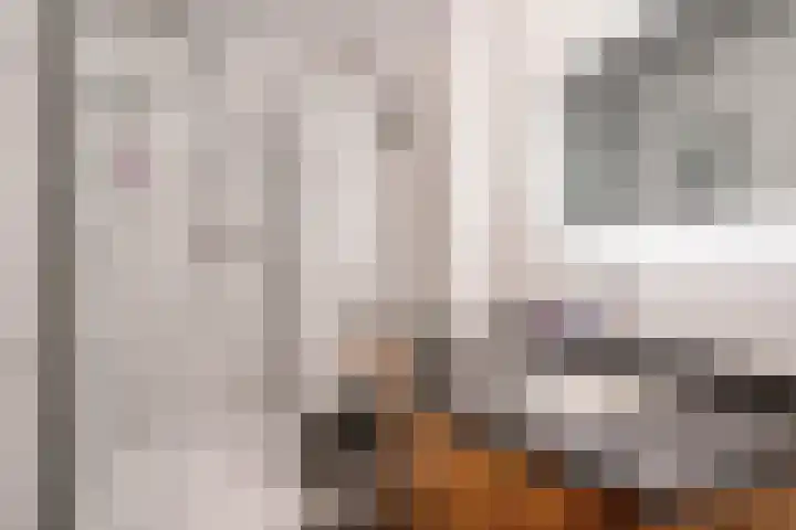 Hammarskjöldlaan 347 Rijswijk thumbnail 15