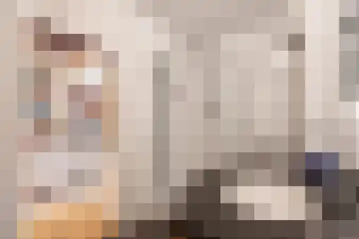 Hammarskjöldlaan 347 Rijswijk thumbnail 16