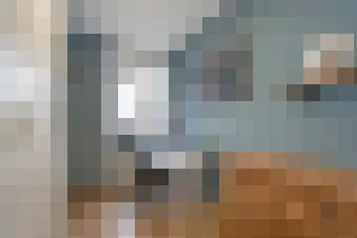 Hammarskjöldlaan 347 Rijswijk thumbnail 18