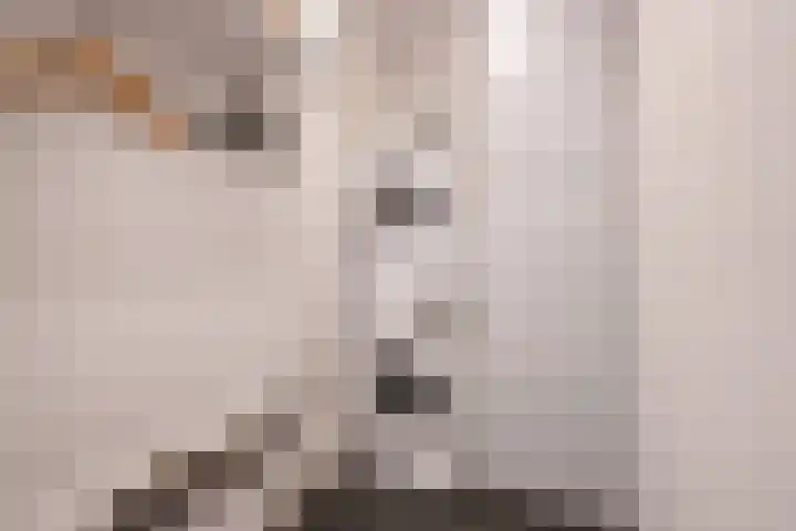 Hammarskjöldlaan 347 Rijswijk thumbnail 19