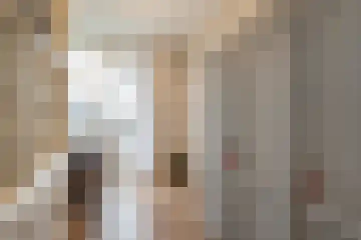 Hammarskjöldlaan 347 Rijswijk thumbnail 20