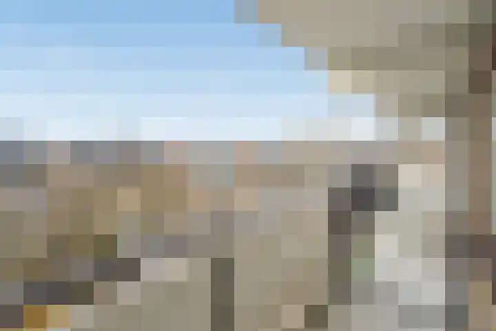 Hammarskjöldlaan 347 Rijswijk thumbnail 21