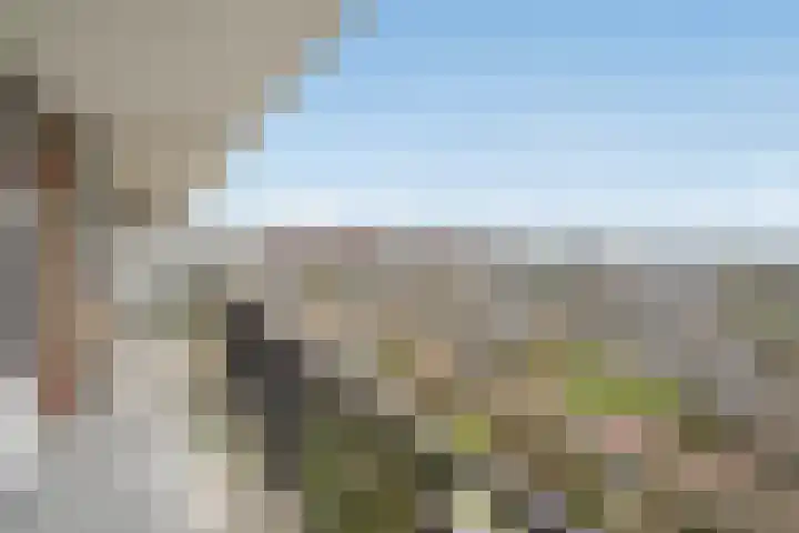 Hammarskjöldlaan 347 Rijswijk thumbnail 22