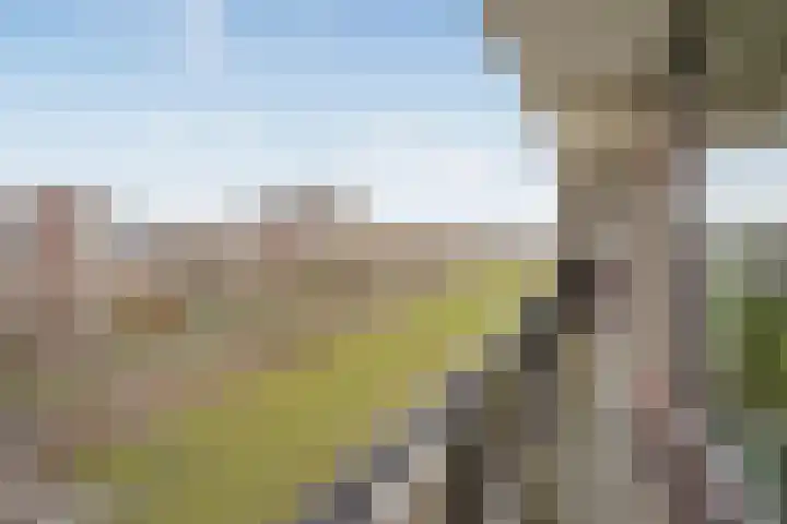 Hammarskjöldlaan 347 Rijswijk thumbnail 23