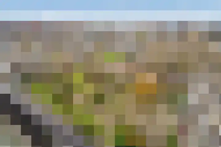 Hammarskjöldlaan 347 Rijswijk thumbnail 25