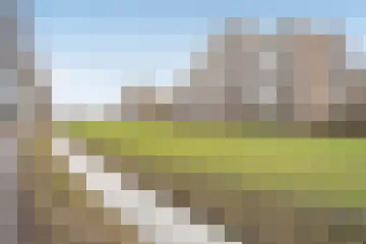 Hammarskjöldlaan 347 Rijswijk thumbnail 27