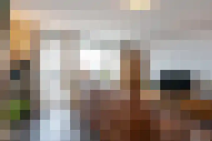Hammarskjöldlaan 347 Rijswijk thumbnail 7