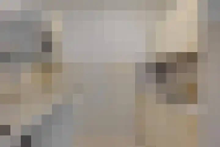 Hammarskjöldlaan 379 Rijswijk thumbnail 10