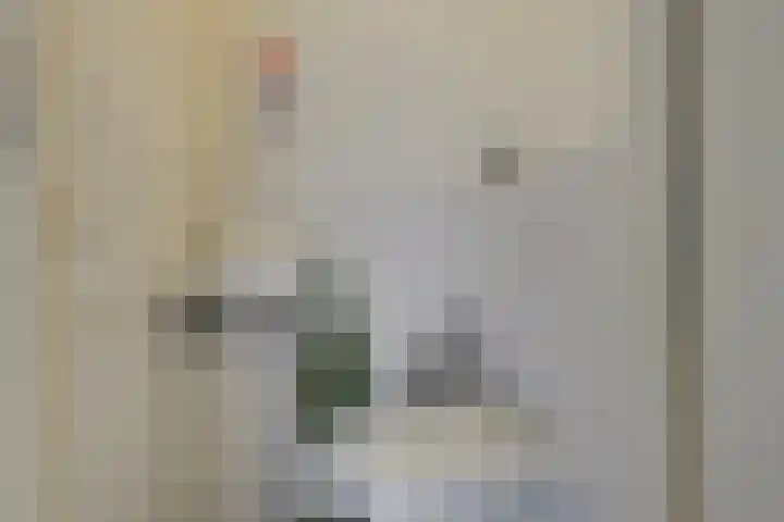 Hammarskjöldlaan 379 Rijswijk thumbnail 11
