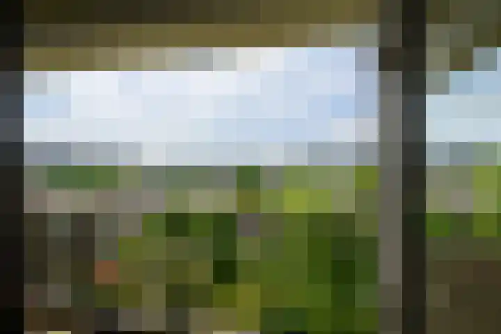 Hammarskjöldlaan 379 Rijswijk thumbnail 13