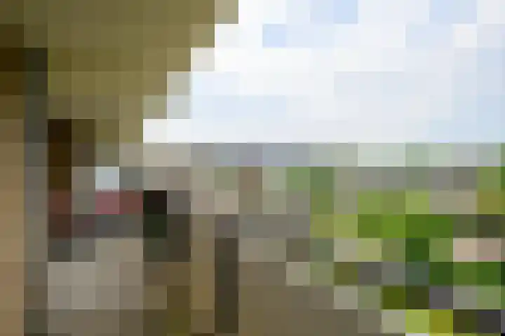 Hammarskjöldlaan 379 Rijswijk thumbnail 14