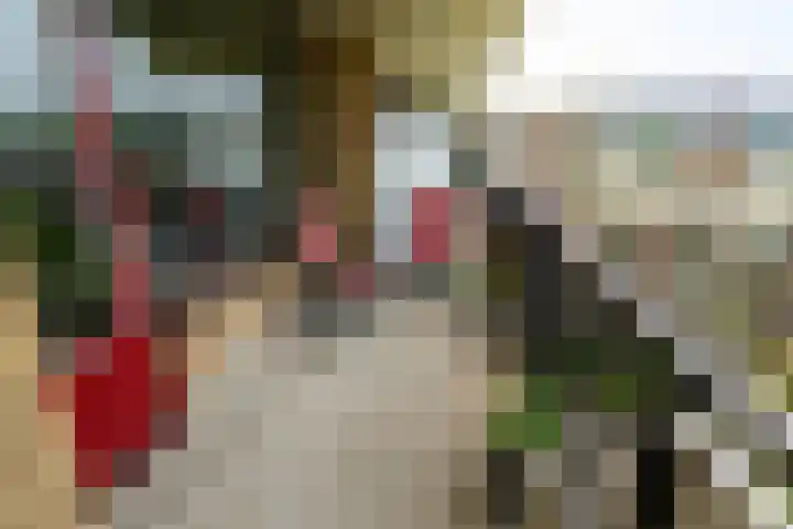 Hammarskjöldlaan 379 Rijswijk thumbnail 15