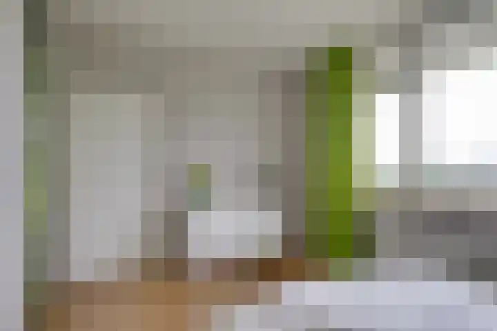 Hammarskjöldlaan 379 Rijswijk thumbnail 16