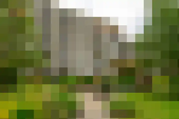 Hammarskjöldlaan 379 Rijswijk thumbnail 20