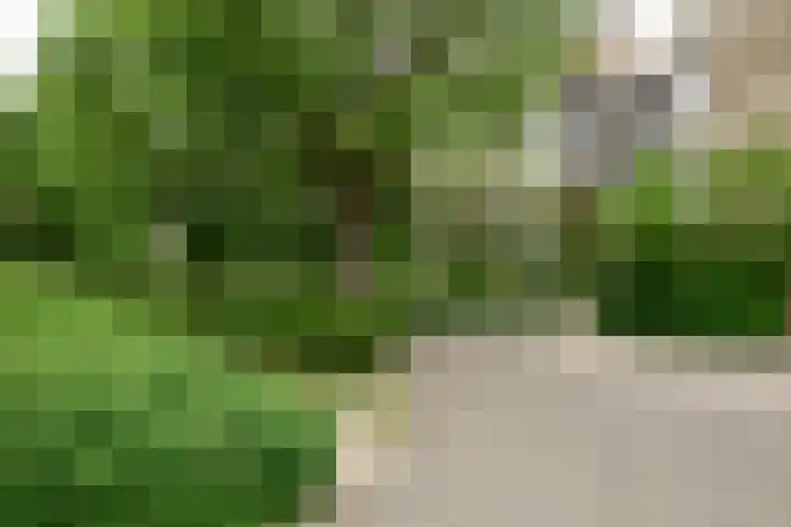 Hammarskjöldlaan 379 Rijswijk thumbnail 21