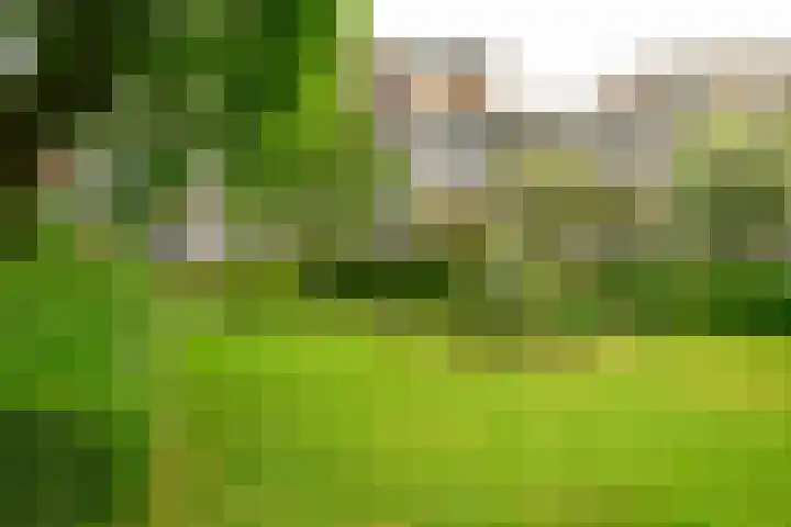 Hammarskjöldlaan 379 Rijswijk thumbnail 24