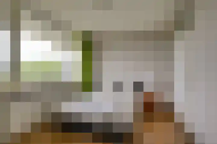 Hammarskjöldlaan 379 Rijswijk thumbnail 4