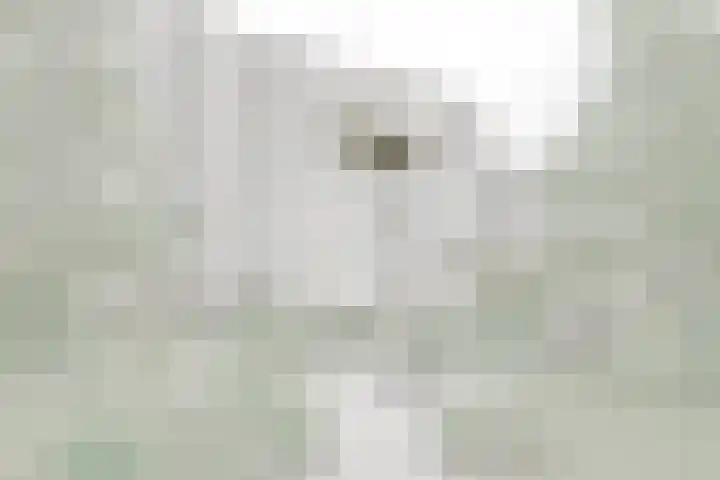 Hammarskjöldlaan 379 Rijswijk thumbnail 5