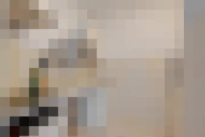 Hammarskjöldlaan 379 Rijswijk thumbnail 9