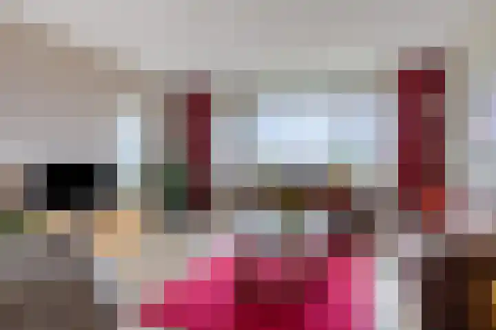 Hammarskjöldlaan 383 Rijswijk thumbnail 12