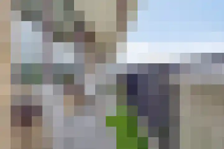 Hammarskjöldlaan 383 Rijswijk thumbnail 20
