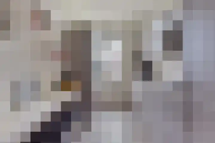 Hammarskjöldlaan 383 Rijswijk thumbnail 22