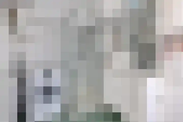 Hammarskjöldlaan 383 Rijswijk thumbnail 28