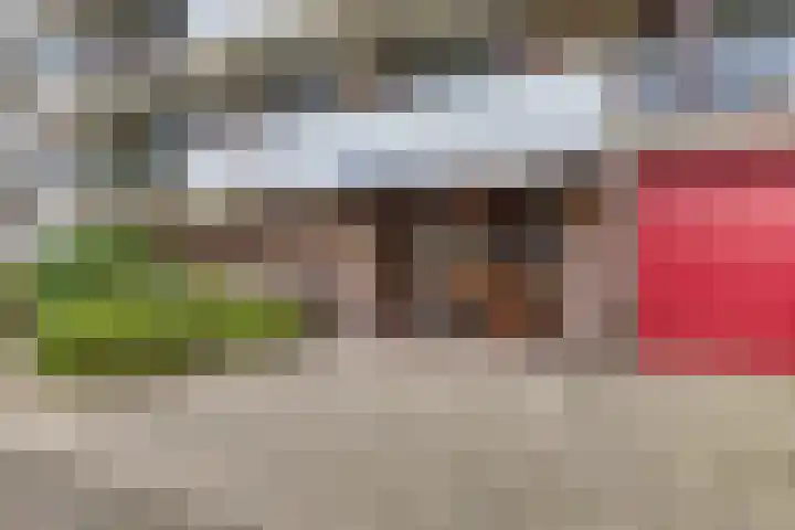 Hammarskjöldlaan 383 Rijswijk thumbnail 7