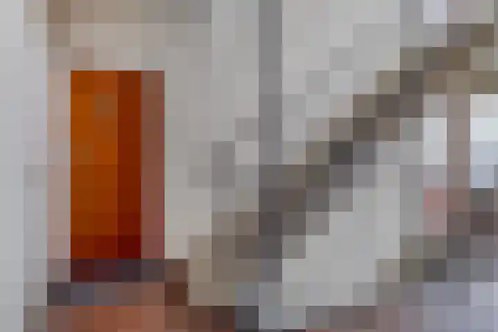 Hammarskjöldlaan 383 Rijswijk thumbnail 8