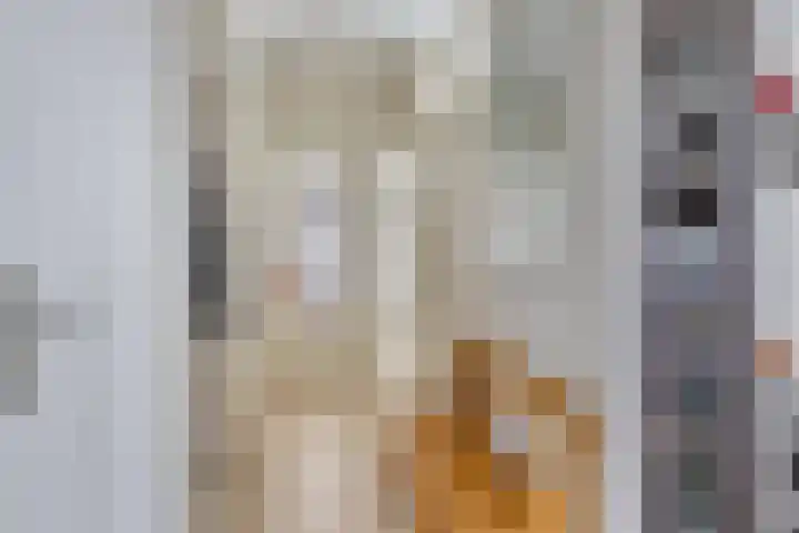 Hammarskjöldlaan 383 Rijswijk thumbnail 9