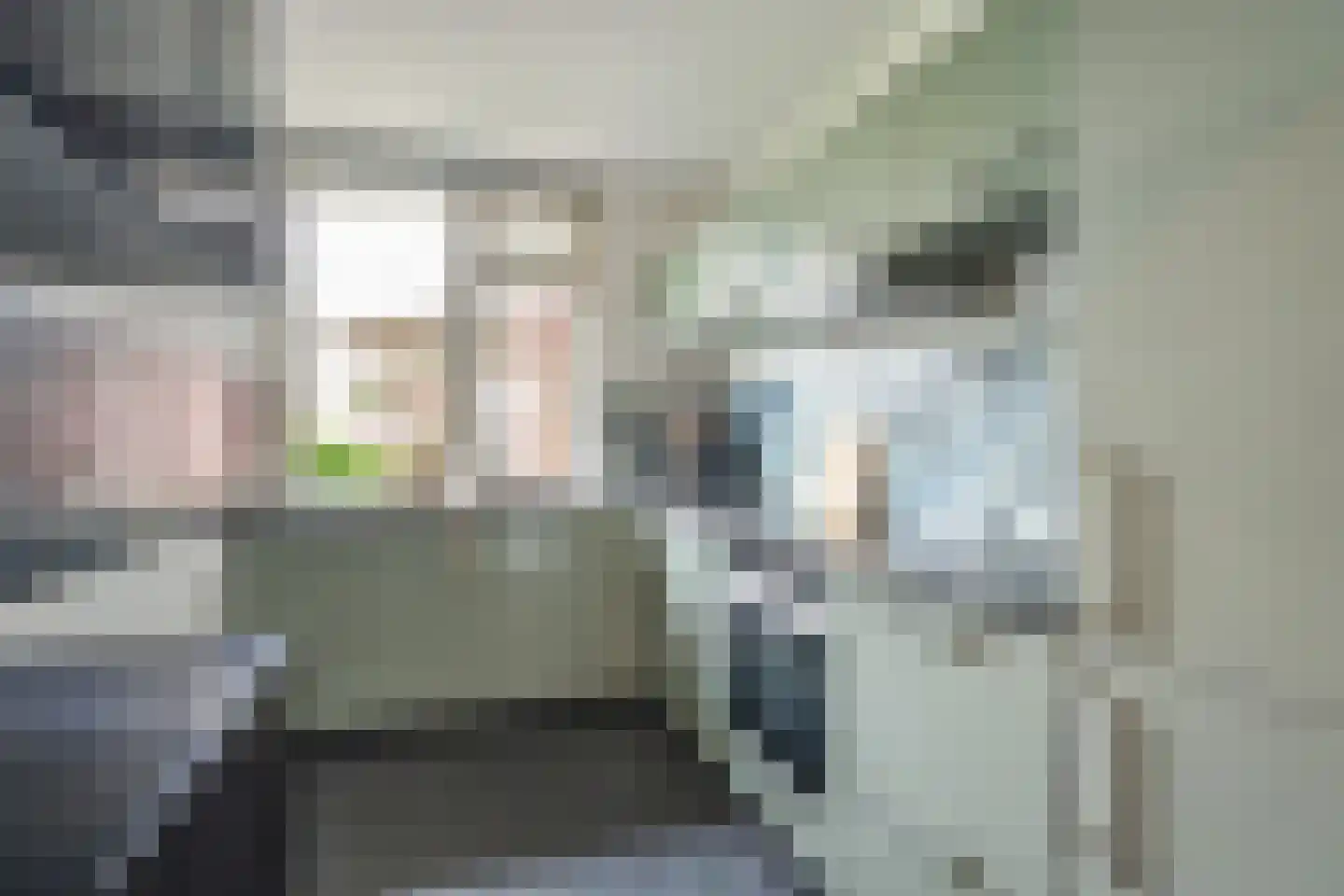 Hammarskjöldlaan 397 Rijswijk thumbnail 17