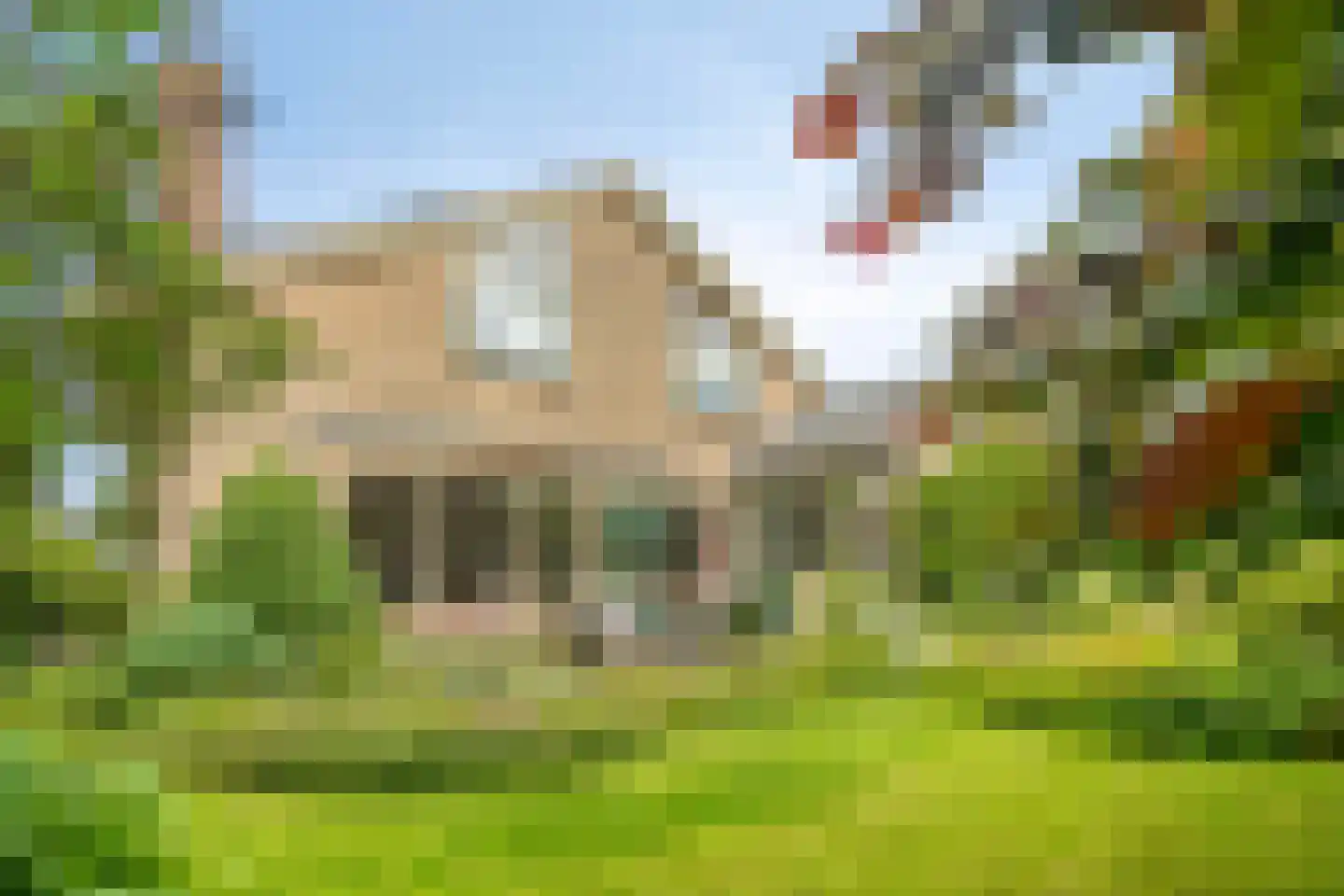 Hammarskjöldlaan 41 Middelburg thumbnail 29