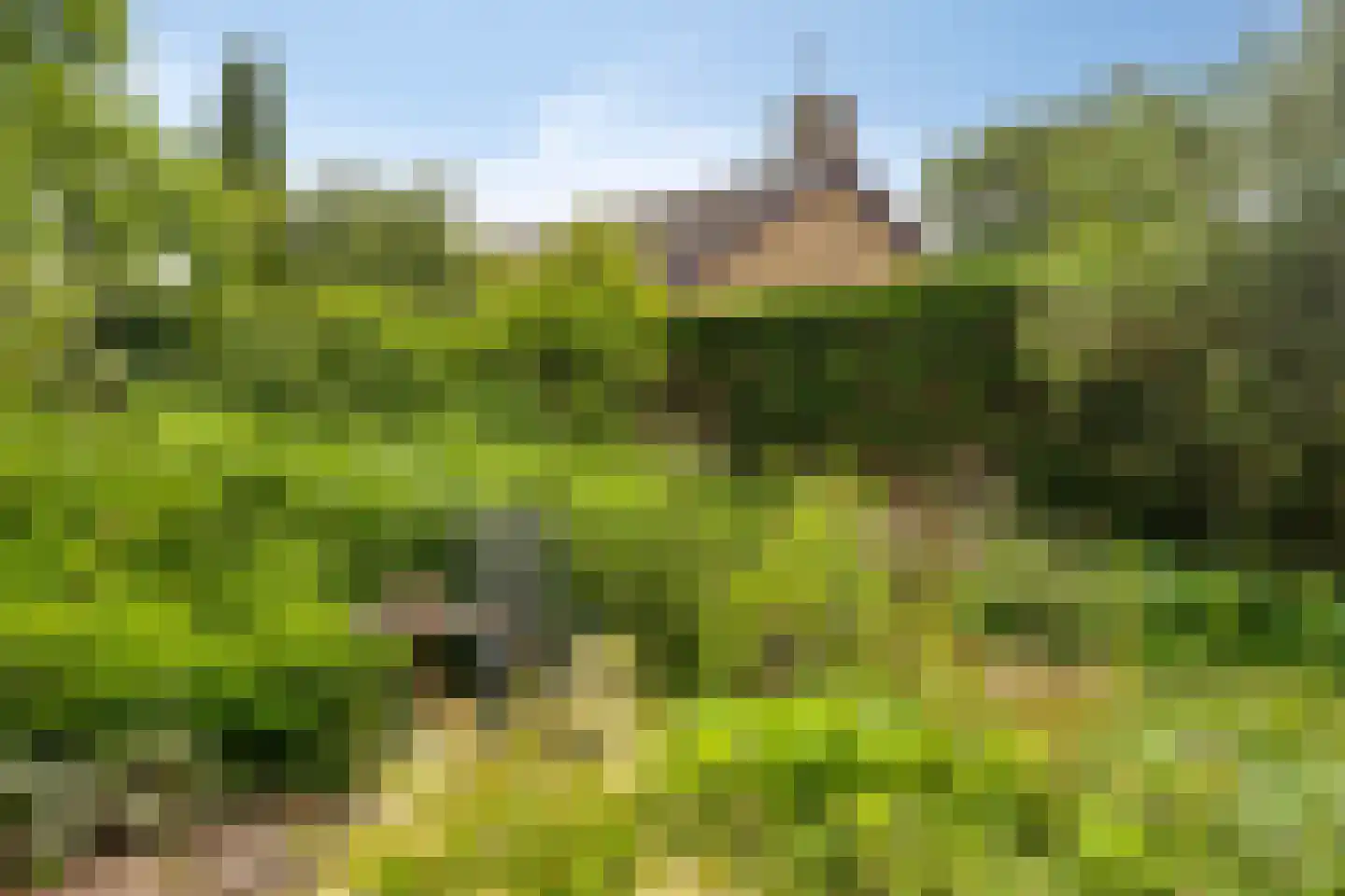 Hammarskjöldlaan 41 Middelburg thumbnail 31