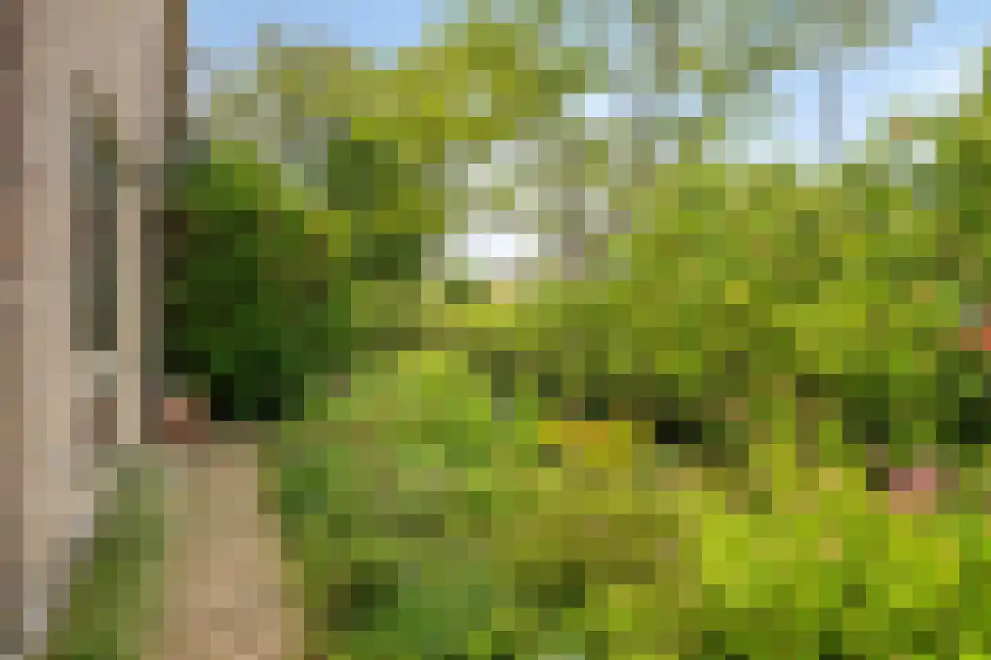 Hammarskjöldlaan 41 Middelburg thumbnail 32
