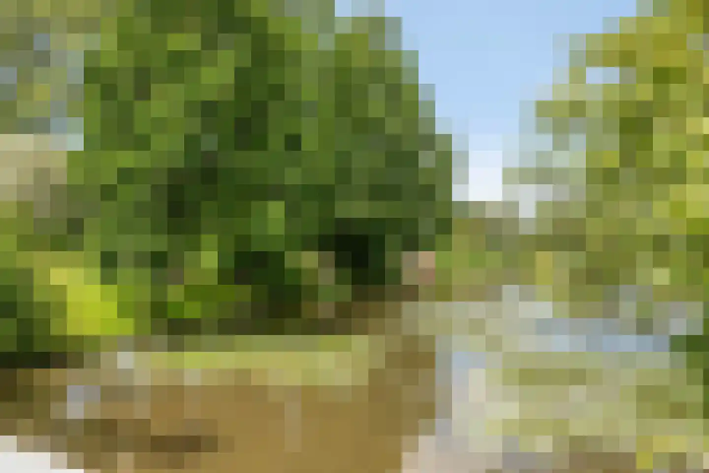 Hammarskjöldlaan 41 Middelburg thumbnail 35